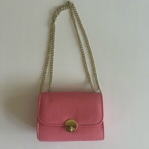 Mini Pink Purse with Gold Chain and Clasp